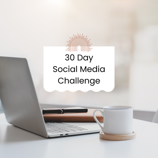 30 Day Social Media Challenge - with PLR & MRR