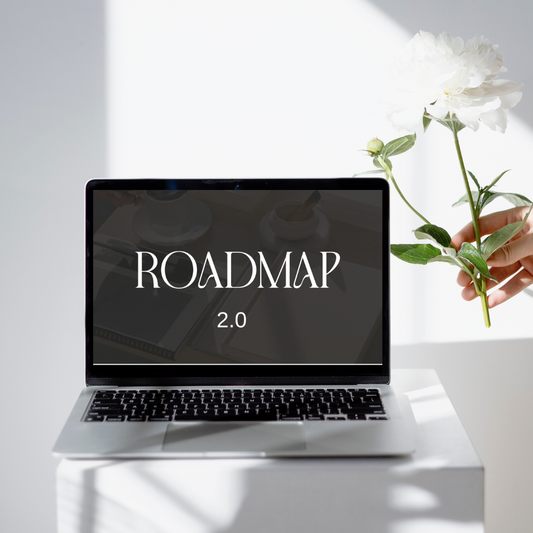The Roadmap - The ULTIMATE Guide to Digital Marketing (with Master Resell Rights)